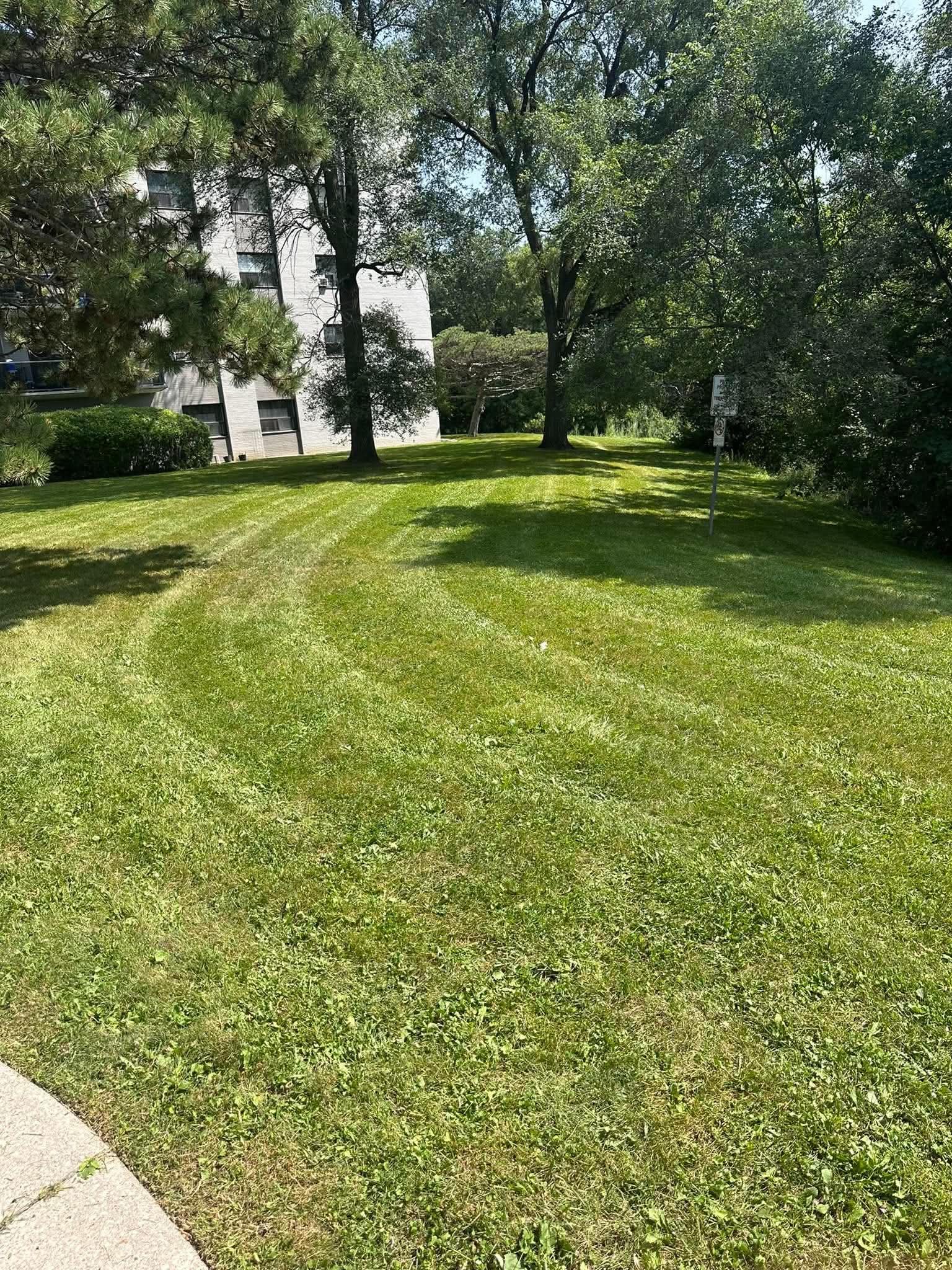 Cleared laneway