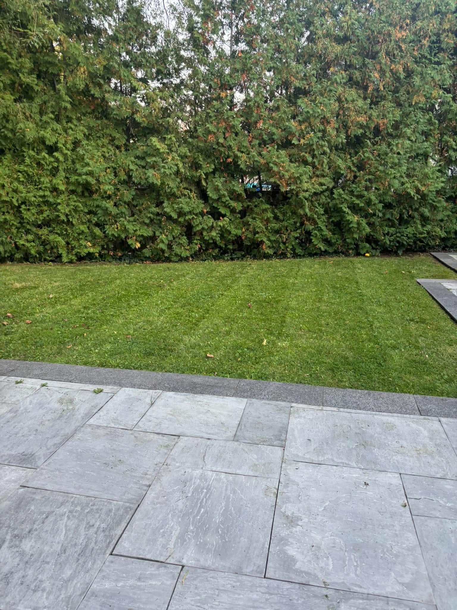 Interlock and Pavers