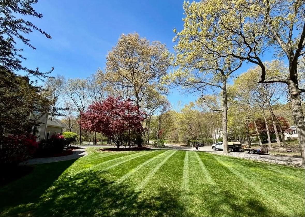 Lawn Maintenance