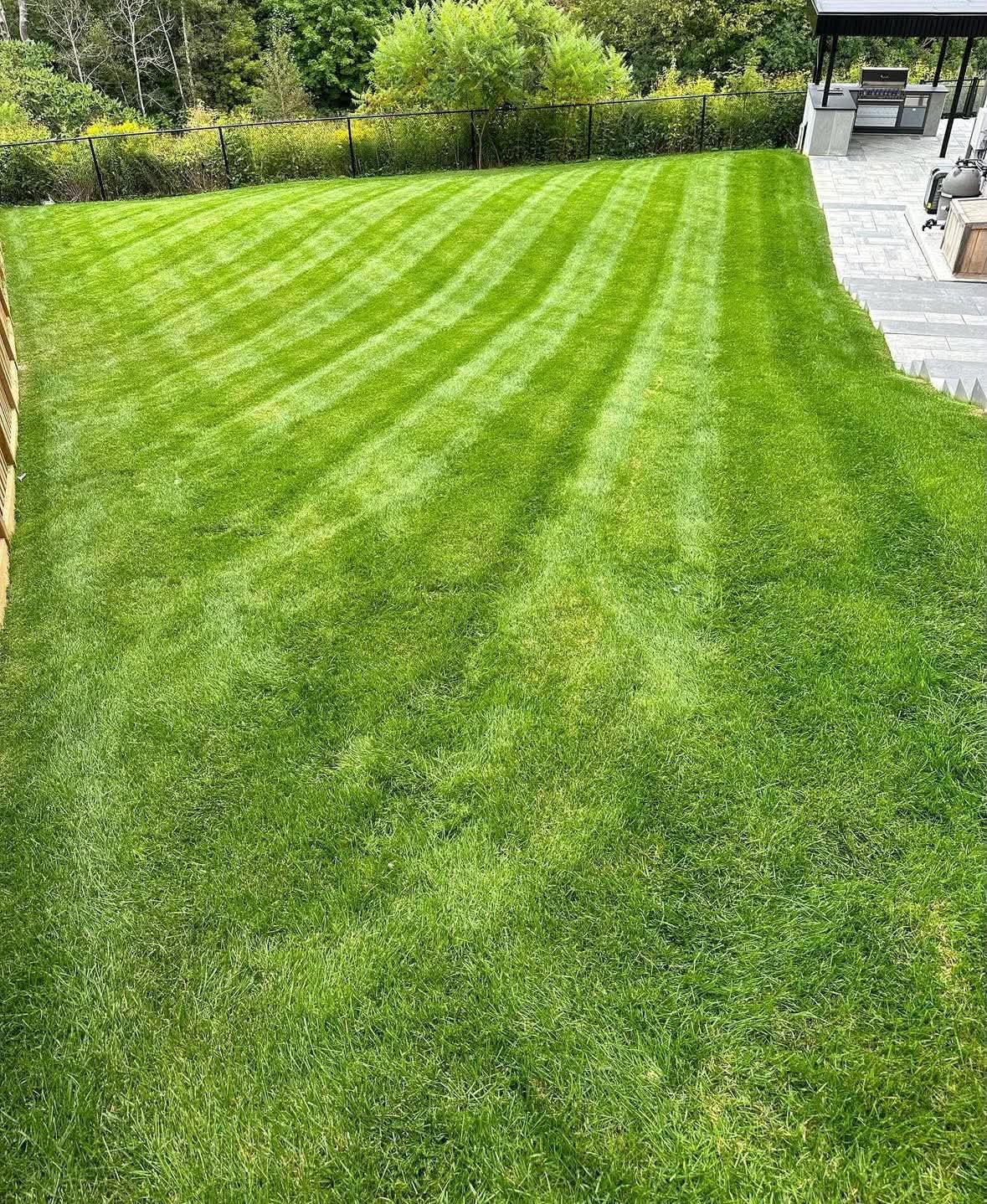 Lawn Maintenance