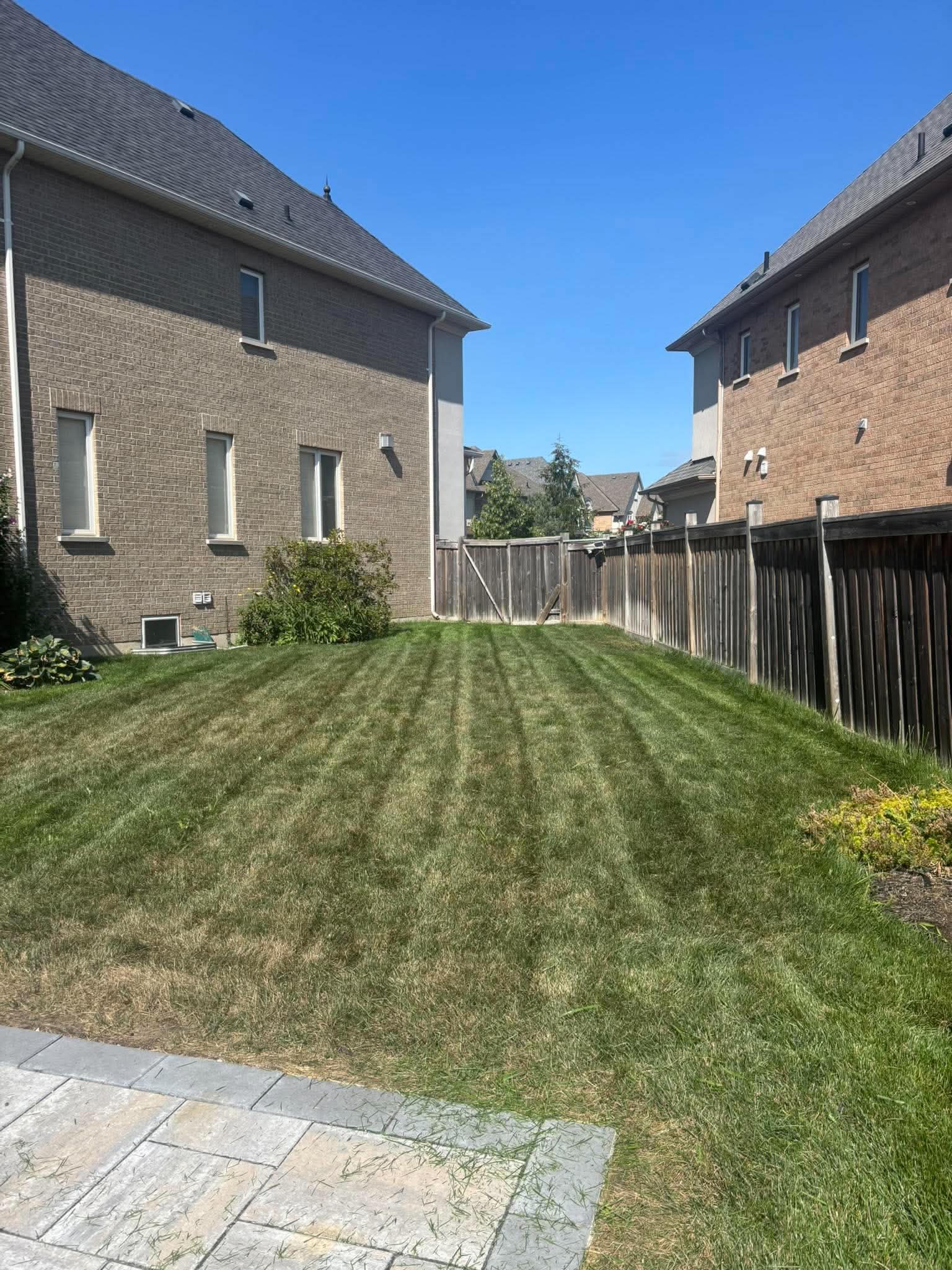 Lawn Maintenance