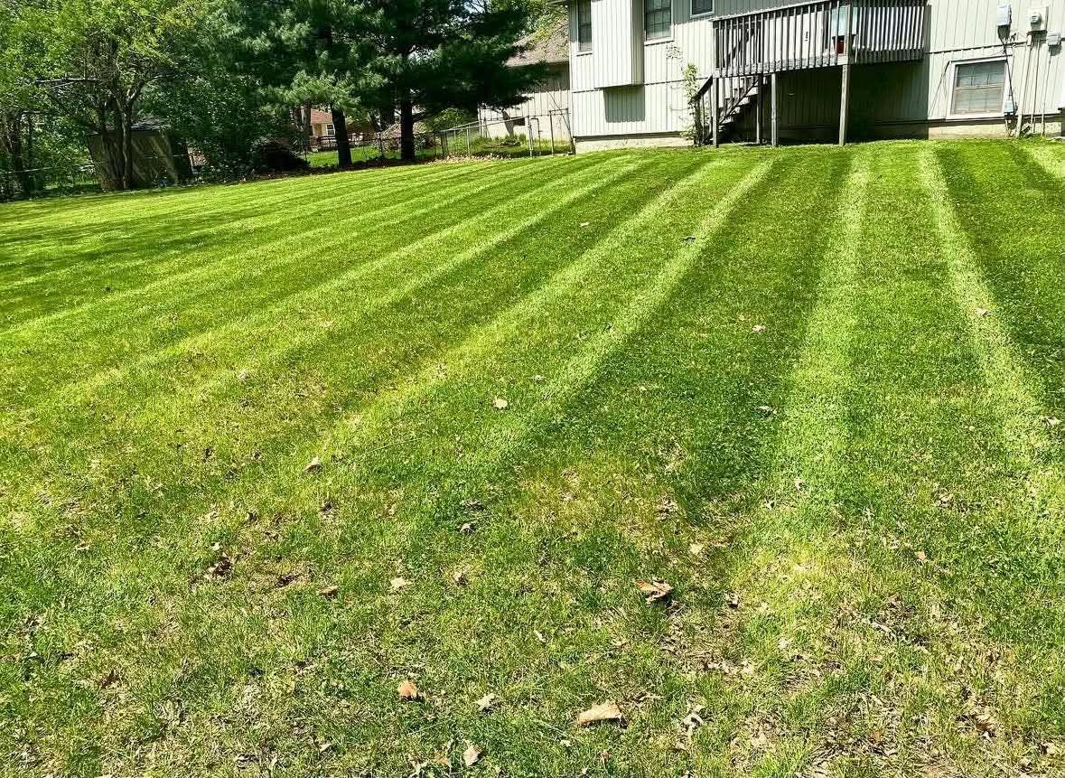 Lawn Maintenance
