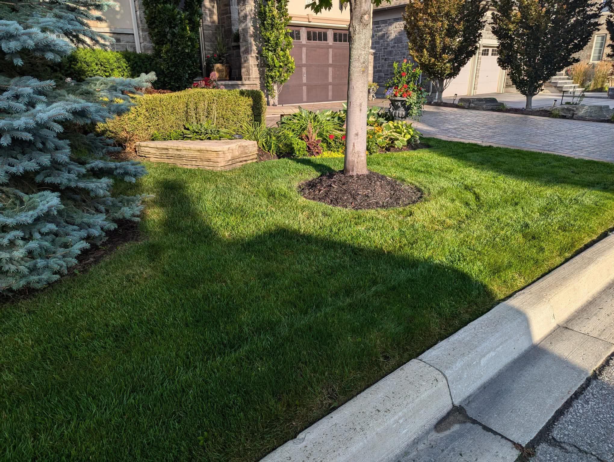 Mulch and Garden Beds
