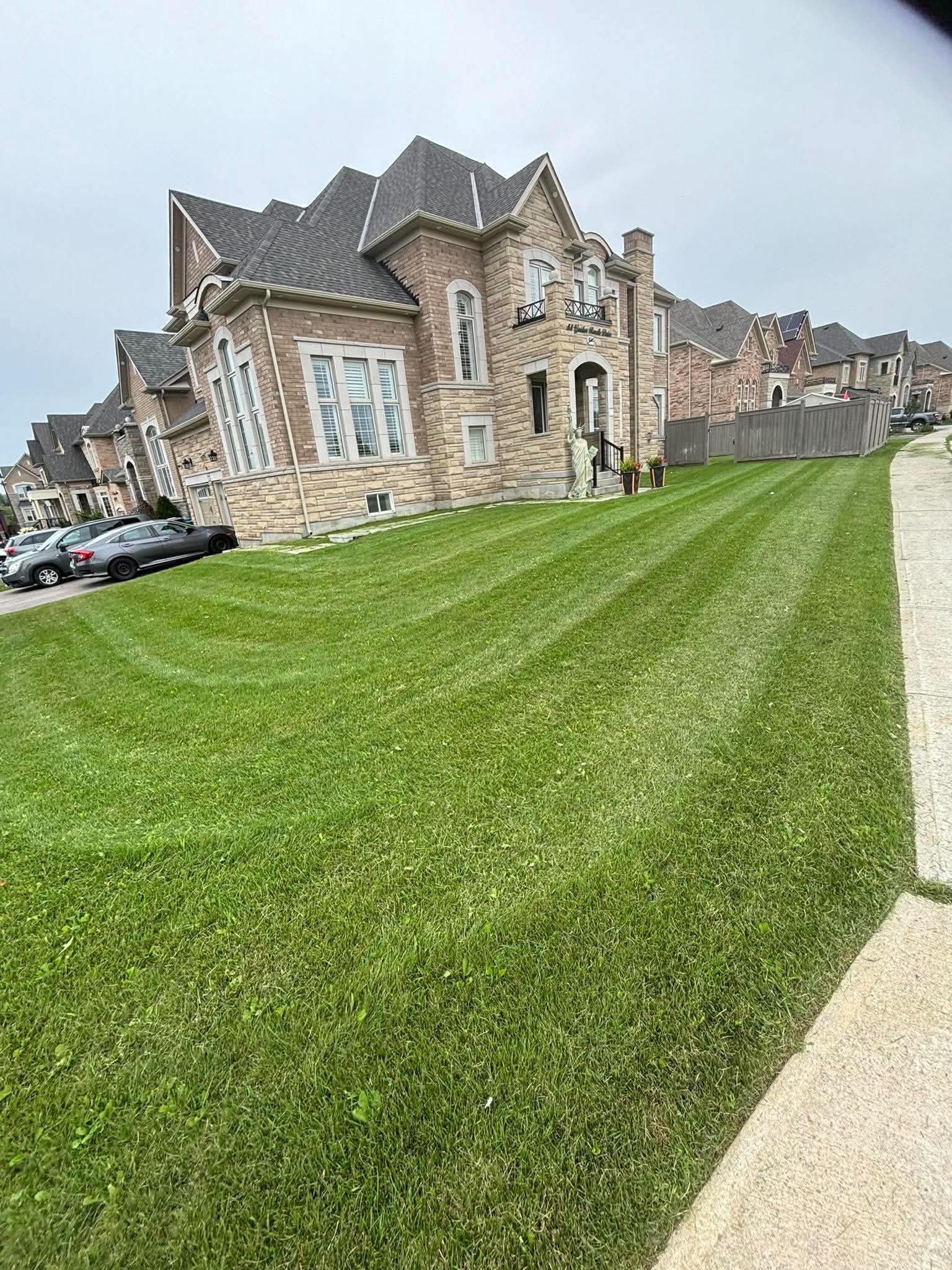 Lawn Maintenance