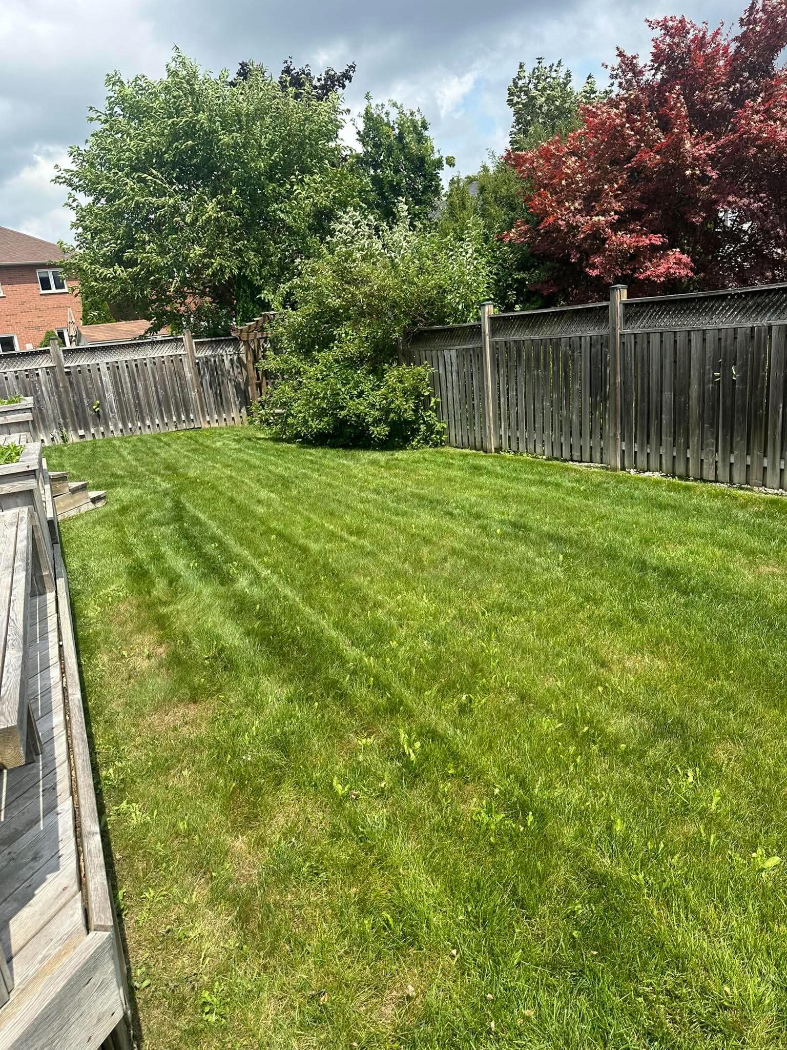 Sod Installation