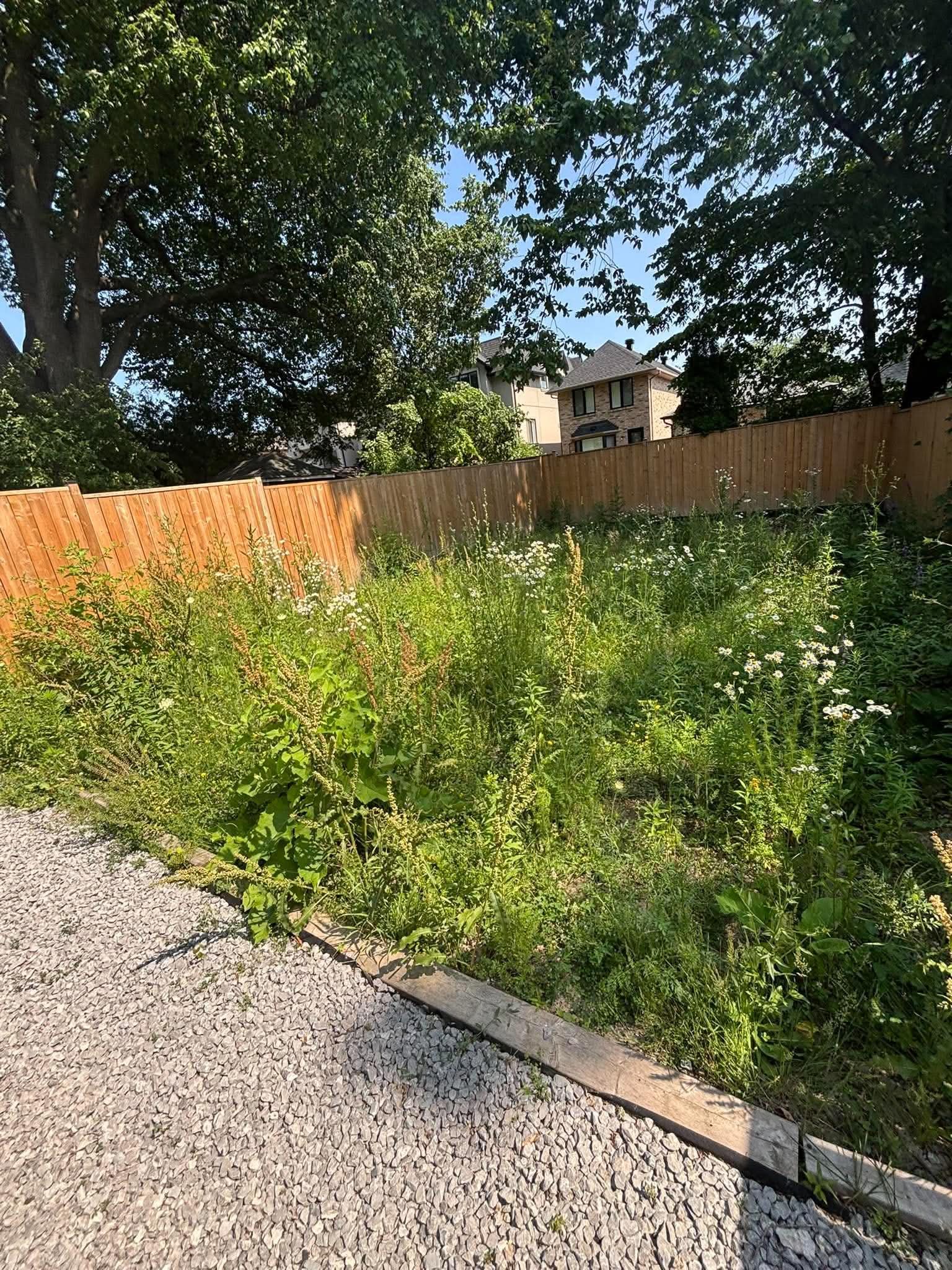 Lawn Maintenance