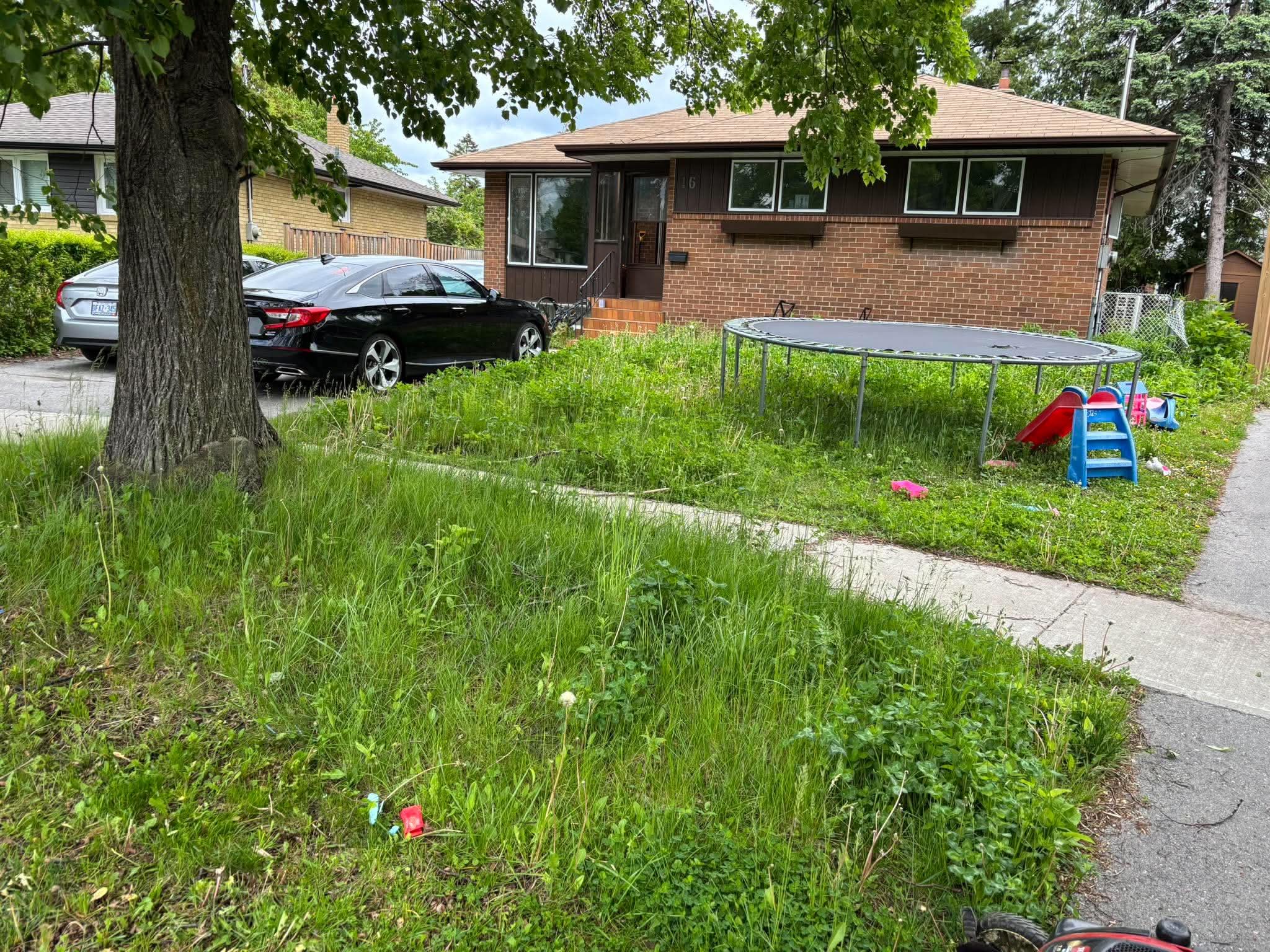 Junk Removal